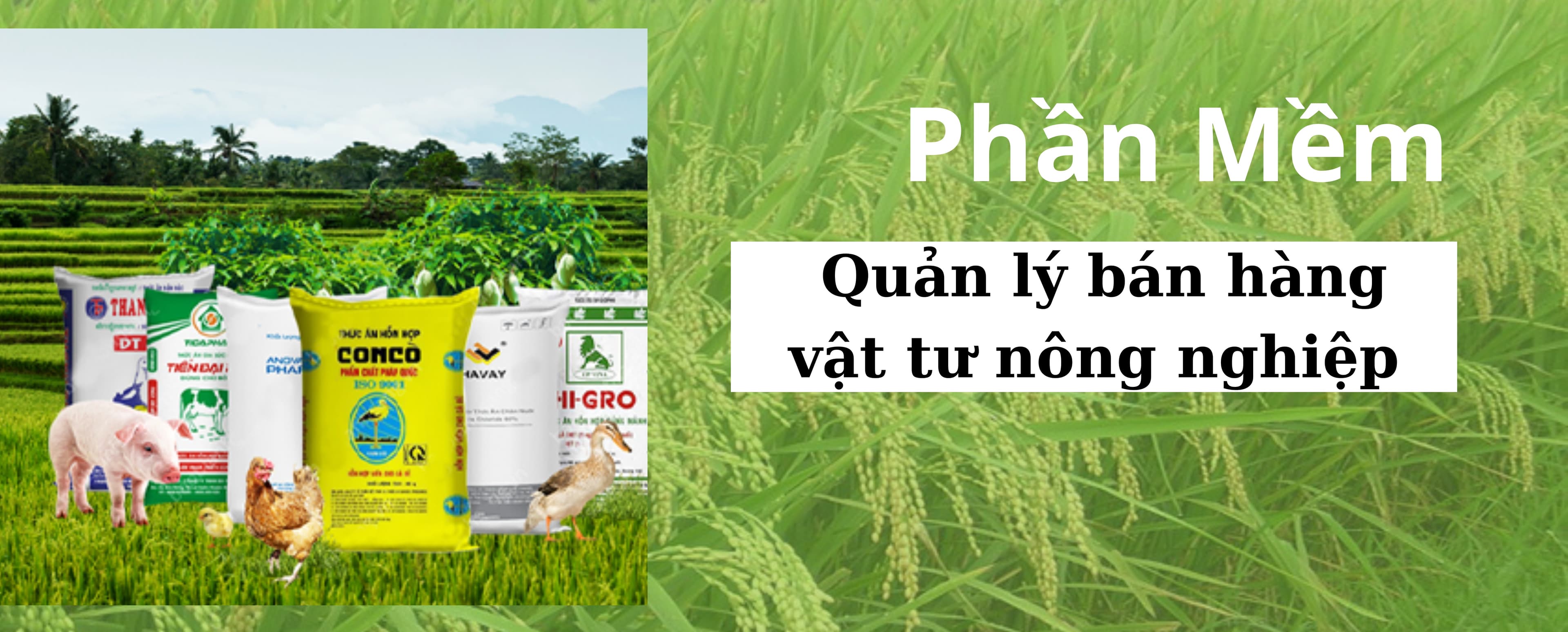 Phần Mềm (1)