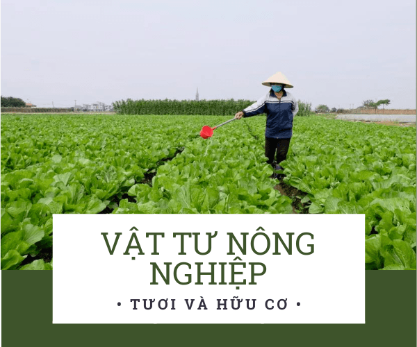 Top 5 phần mềm quản lý bán vật tư nông nghiệp nhiều người dùng nhất hiện nay384