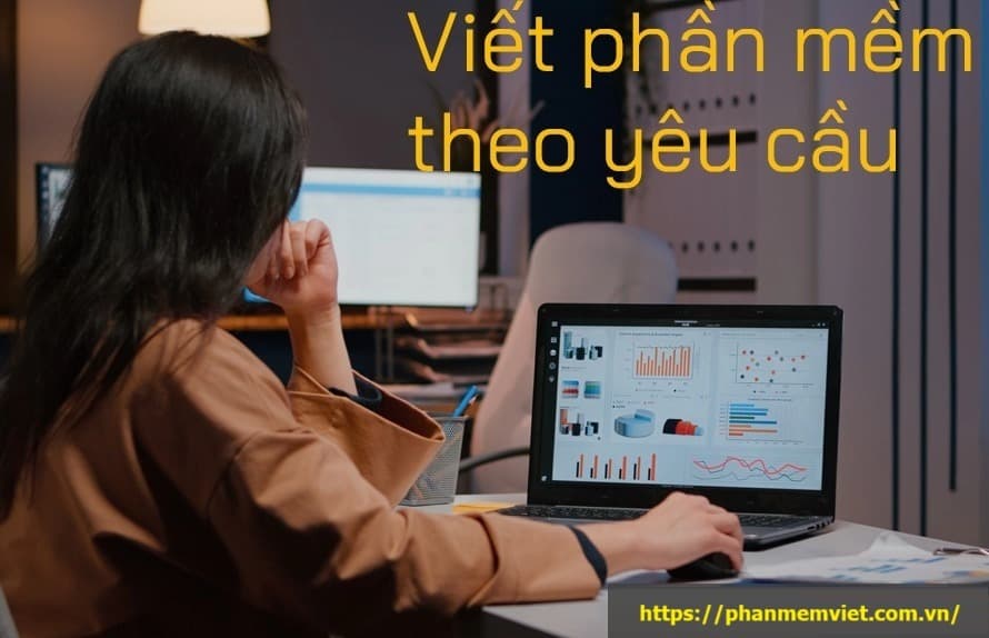viet-phan-mem-theo-yeu-cau